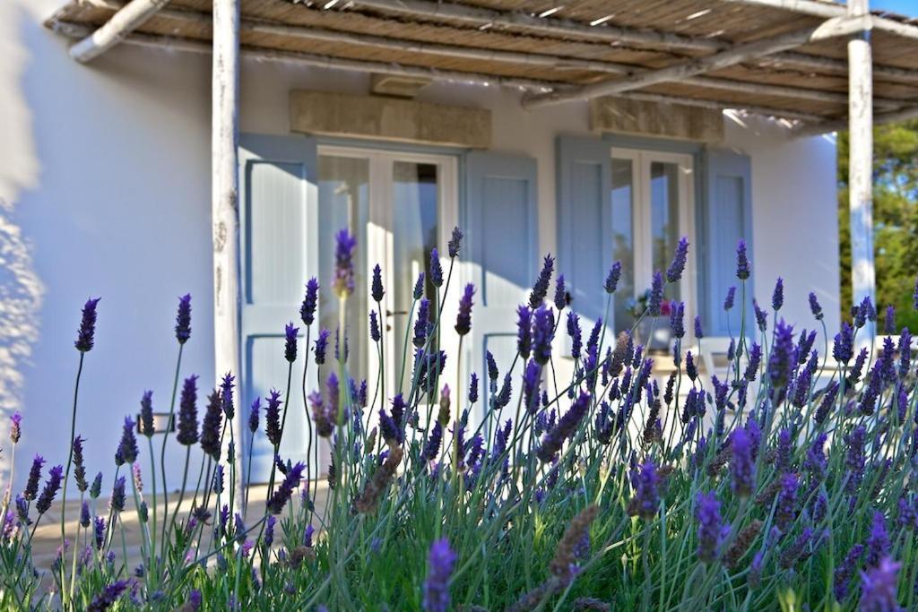Masseria Montelauro Otranto Zewnętrze zdjęcie