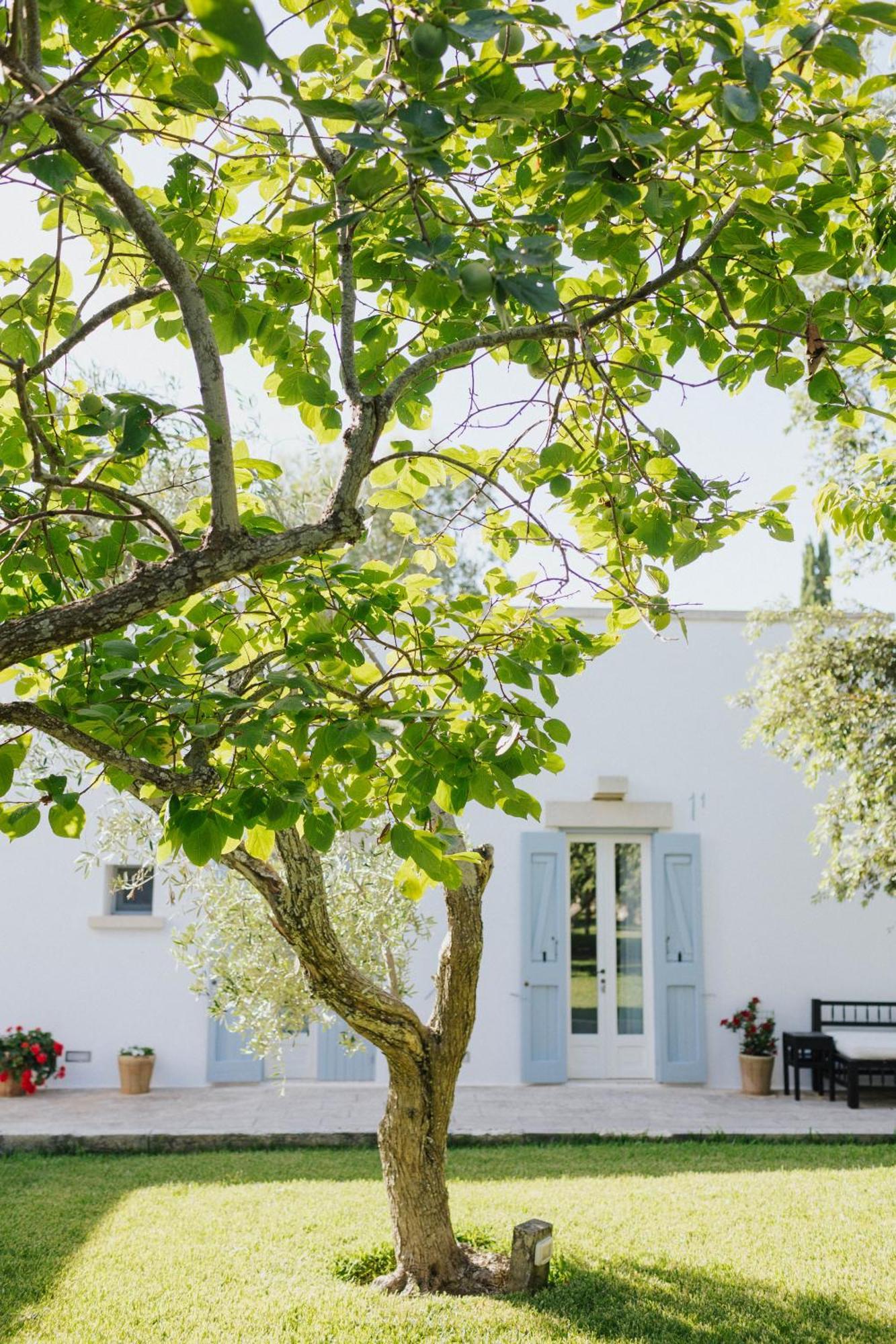 Masseria Montelauro Otranto Zewnętrze zdjęcie