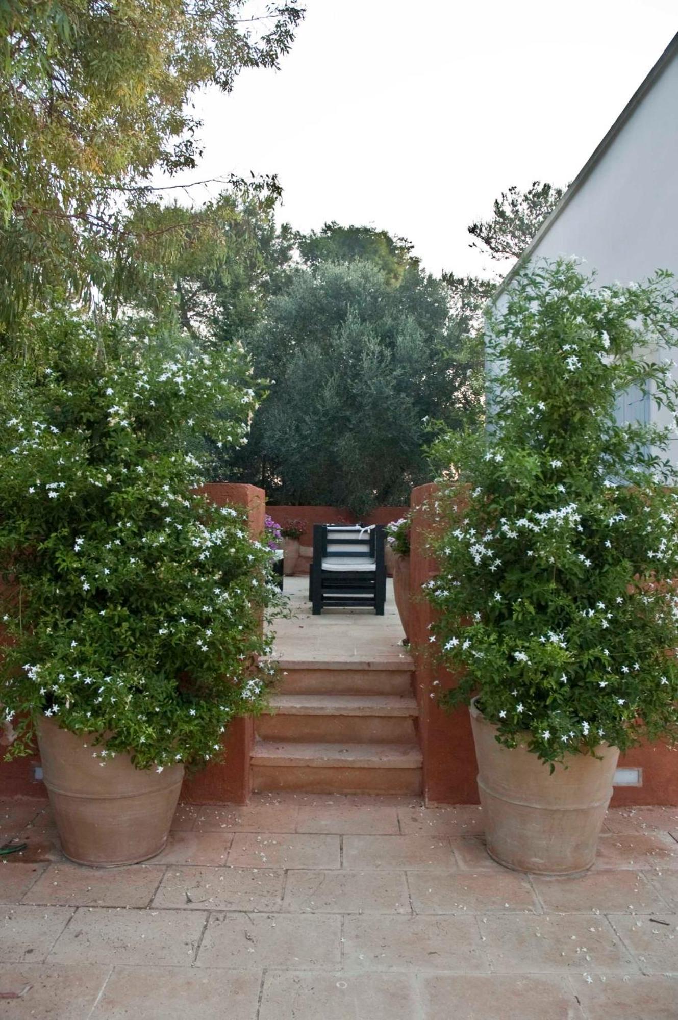 Masseria Montelauro Otranto Zewnętrze zdjęcie